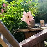 Grønset Skysstasjon Bed & Breakfast 3*