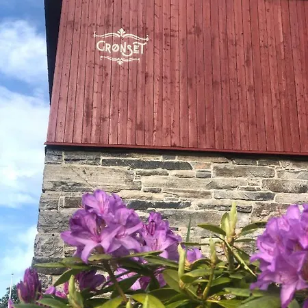 Gronset Skysstasjon * Vinjeora