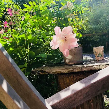 Gronset Skysstasjon Bed & Breakfast 3*