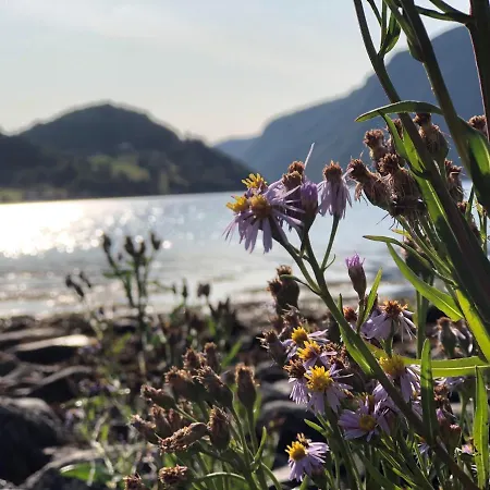 Bed & Breakfast Gronset Skysstasjon