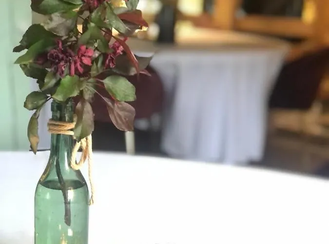 Gronset Skysstasjon Vinjeora