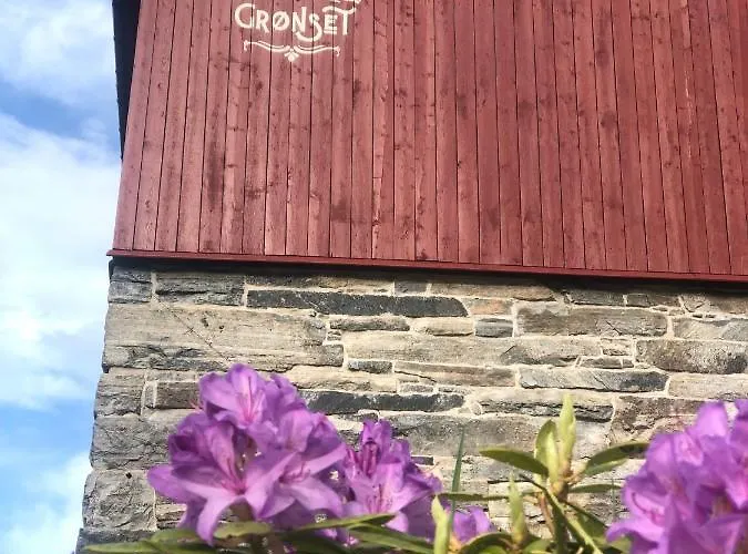 Gronset Skysstasjon 3* Vinjeora