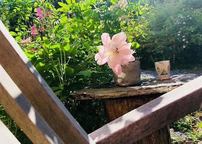 Gronset Skysstasjon Bed & Breakfast 3*