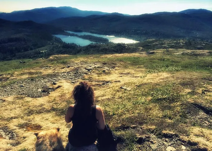 B&B Gronset Skysstasjon Vinjeora