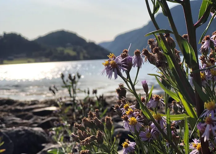 Bed & Breakfast Gronset Skysstasjon