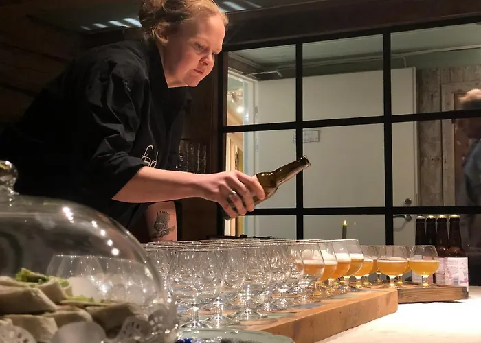 Gronset Skysstasjon Bed & Breakfast Vinjeora