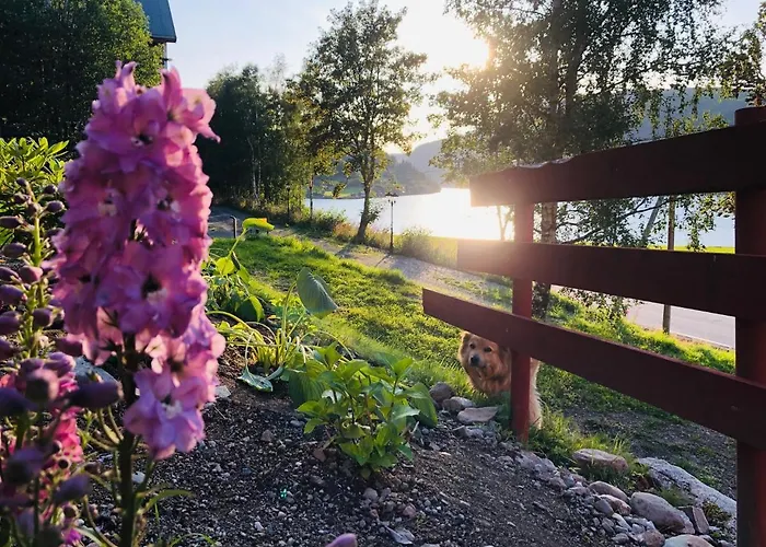 Gronset Skysstasjon